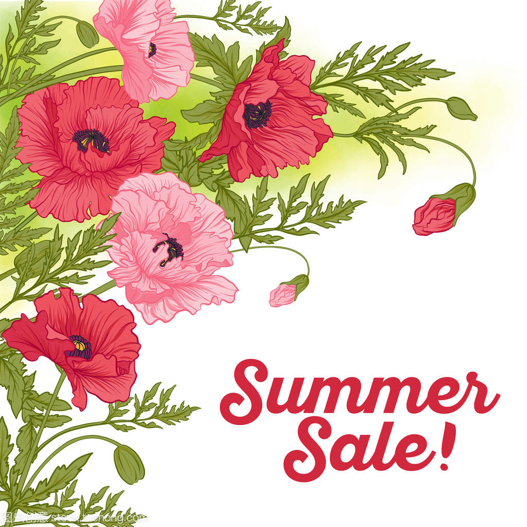 夏天销售卡与红色和粉红色的罂粟在绿色水彩 bac