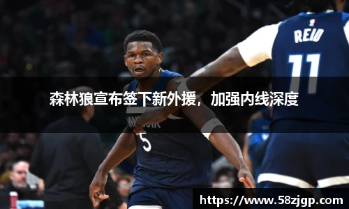 森林狼宣布签下新外援，加强内线深度
